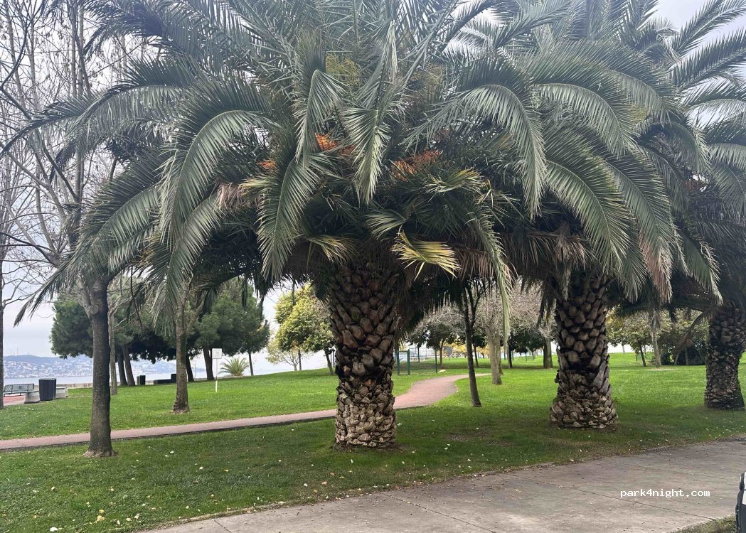 (34865) Kartal - Turgut Özal Bulvarı — foto