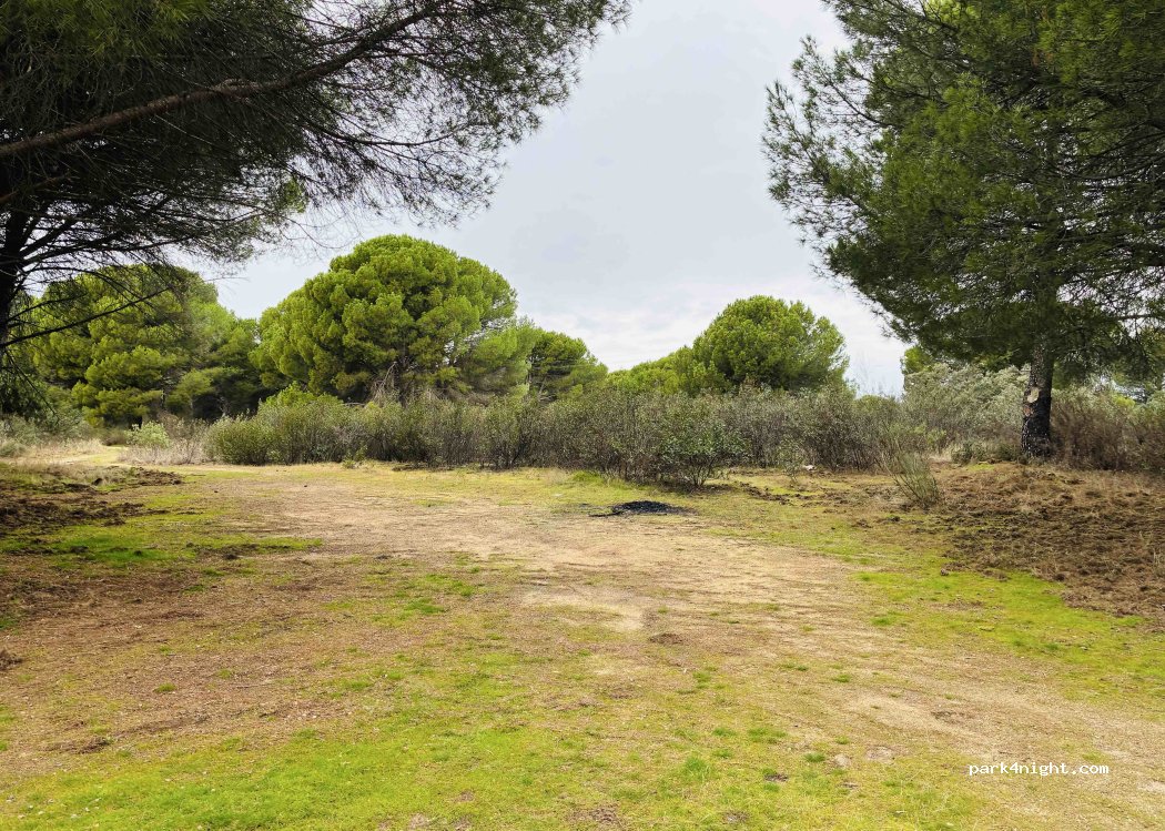 (23740) Andújar - Carretera La Alcaparrosa — foto 2