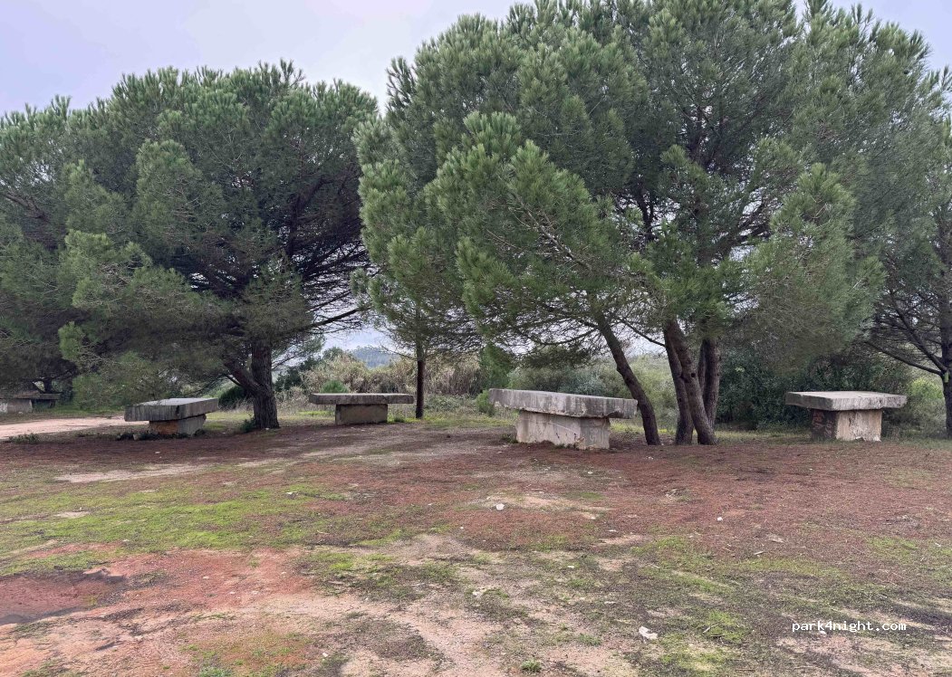 (2490-012) Alburitel - — foto 3