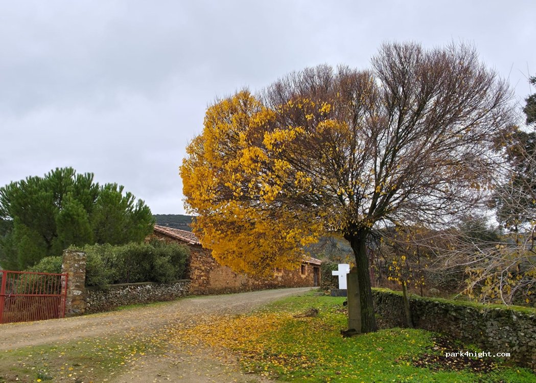 (10340) Castañar de Ibor - Unnamed Road — foto 3