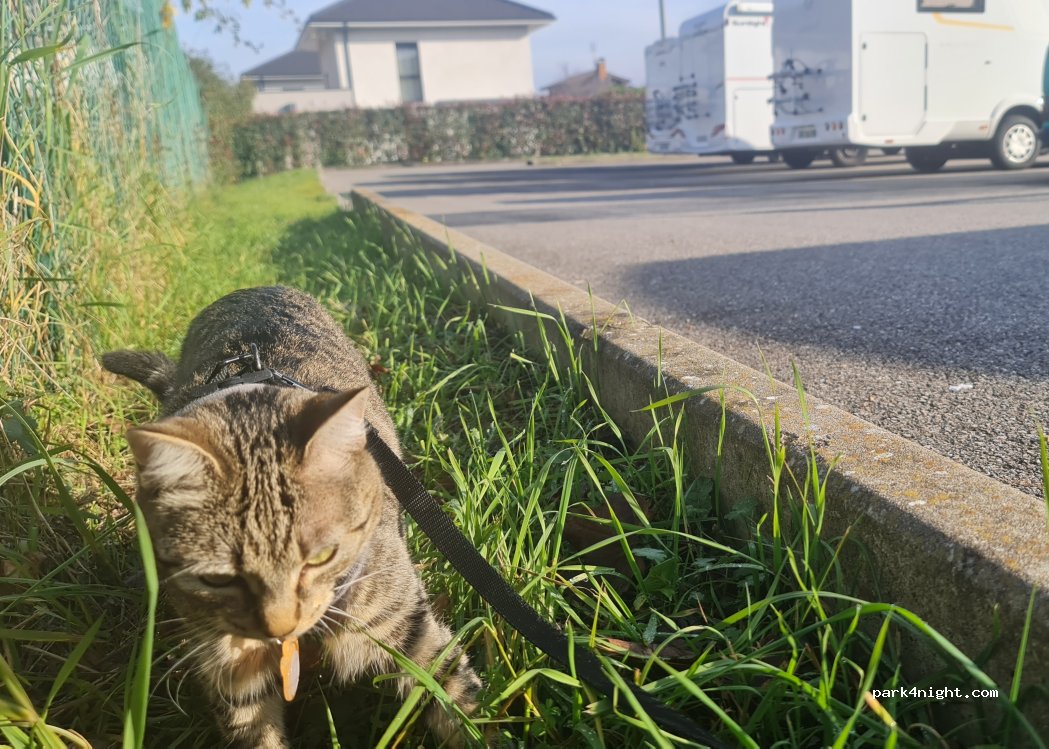 (74500) Publier - Avenue de Thonon — foto 3