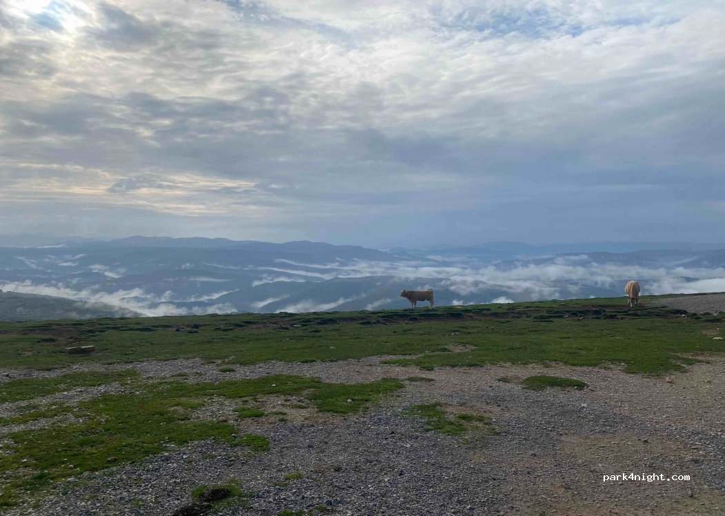 (31680) Ochagavía - Carretera de Abodi — foto 2