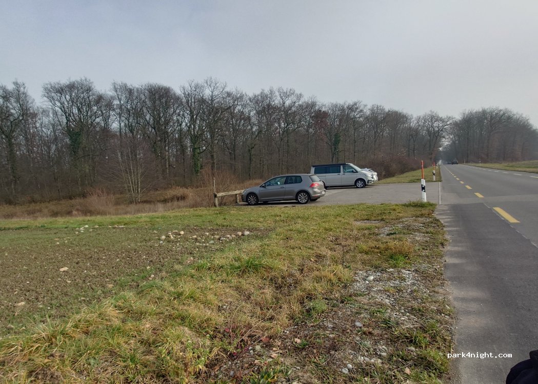 (1290) Versoix - Route de Sauverny — foto