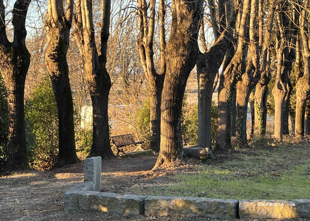 (13012) Palestro - Strada Provinciale SPexSS596 dei Cairoli — foto 3