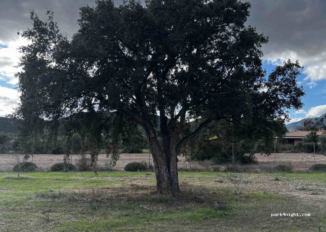 Lananai — foto