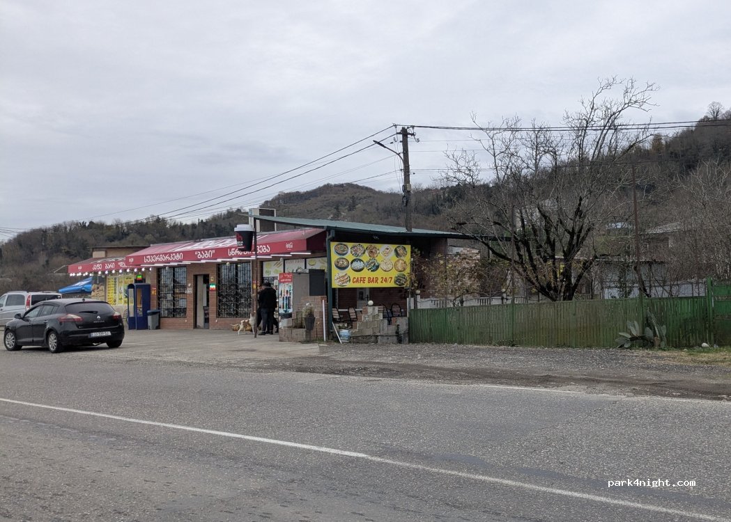 (6000) Dapnari - Samtredia-Lanchkhuti-Grigoleti — foto 2