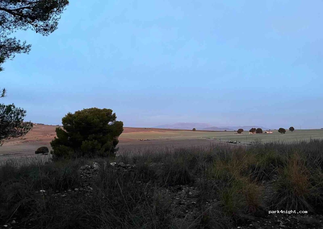 (18539) Pedro Martínez - GR-5101 — foto 2