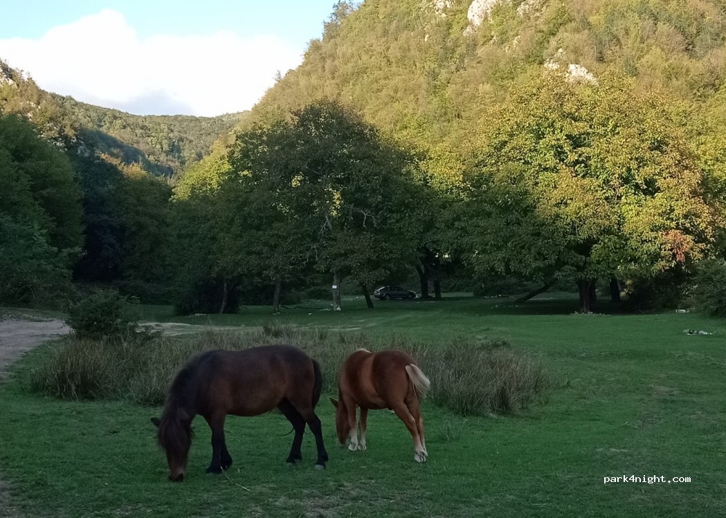 (417140) Sighiștel - Unnamed Road — foto 3
