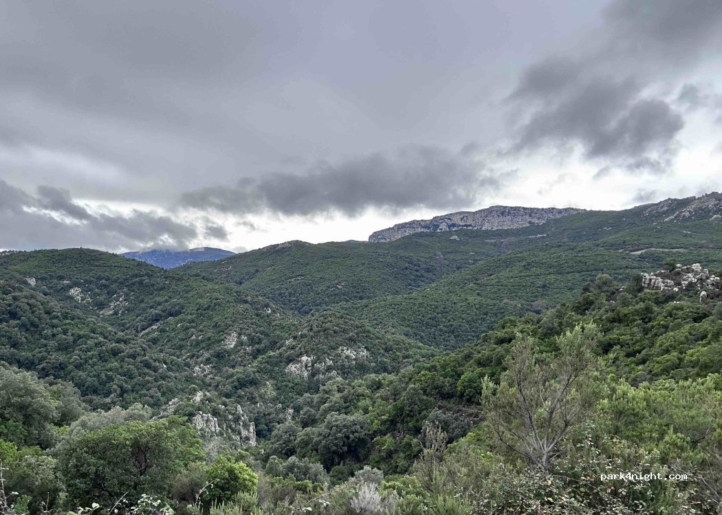 (08040) Orthullè/Urzulei - — foto