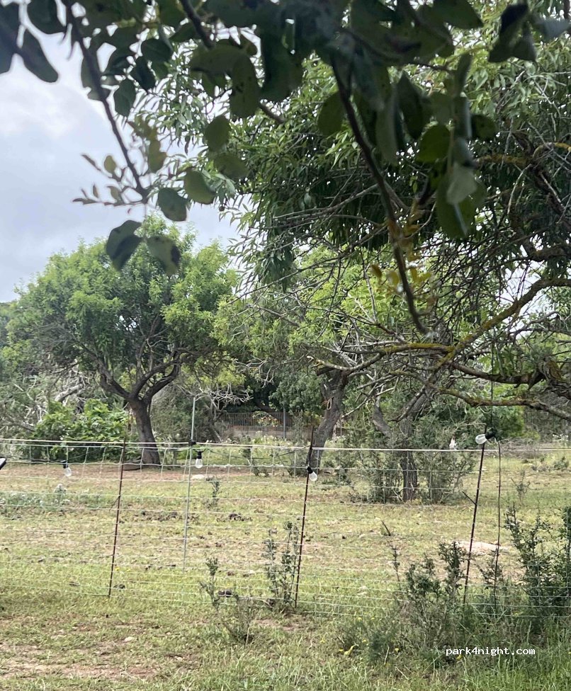 (07590) Capdepera - Carretera de Ca'n Patilla — foto 3