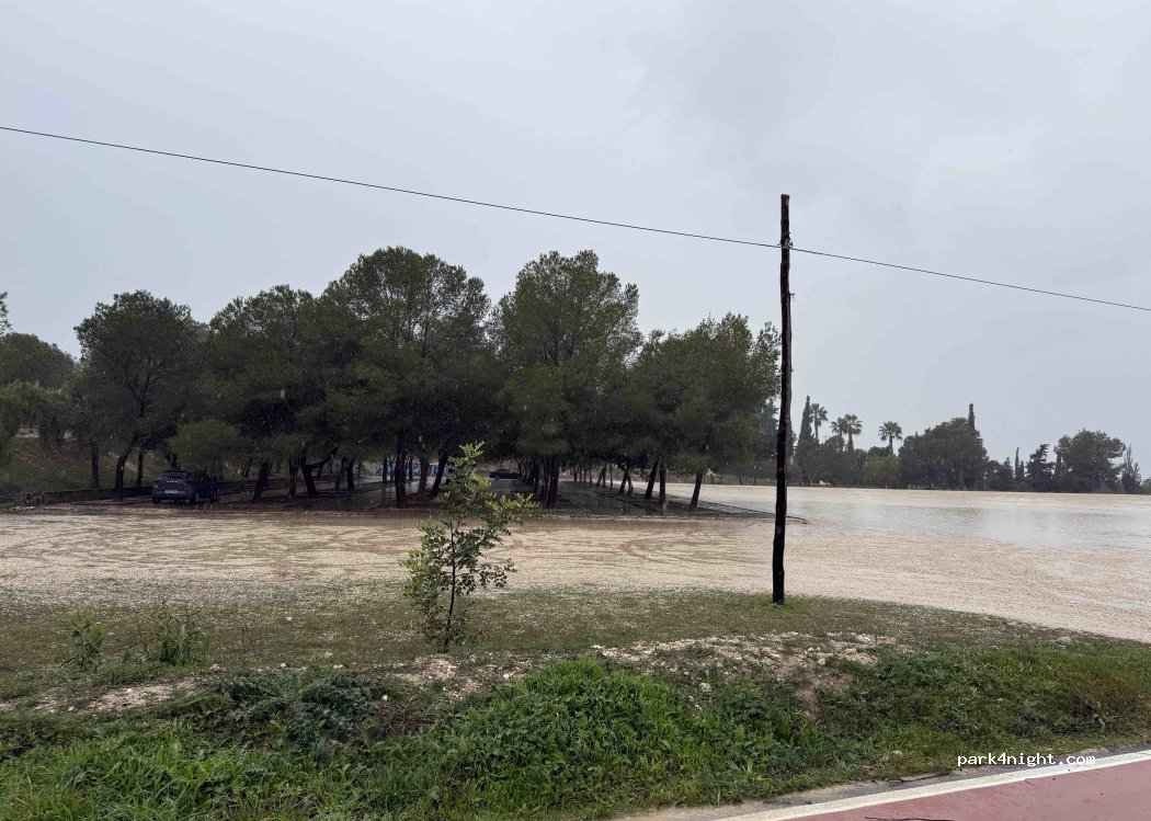 (03390) Benejúzar - Camino de la Pilarica — foto