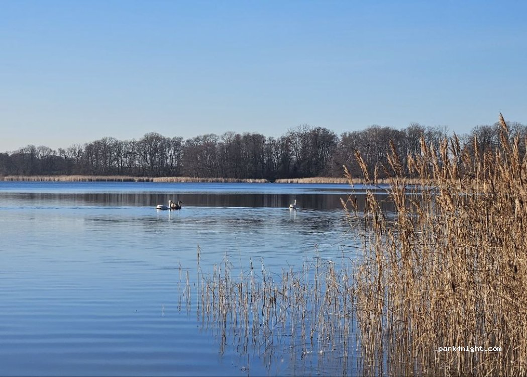 (17268) Friedrichswalde - — foto 2