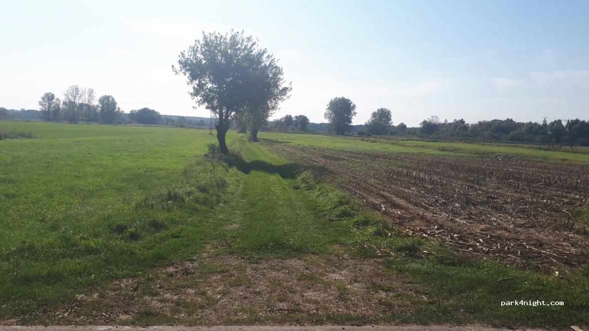 (08-504) Drążgów - — foto