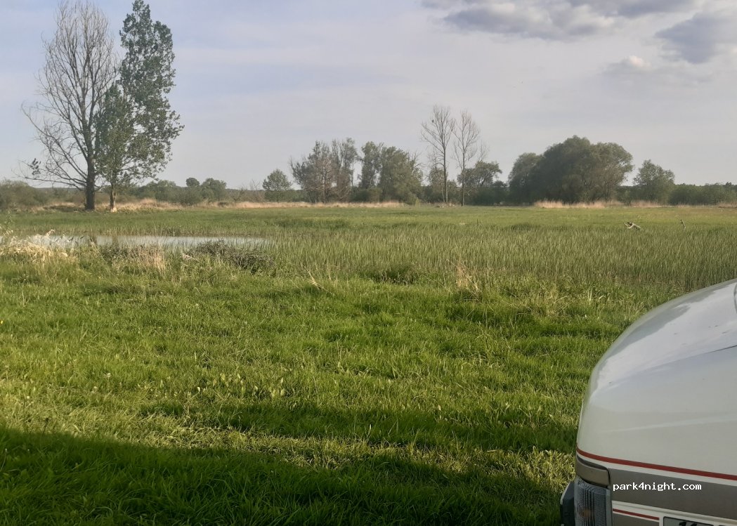 (08-504) Drążgów - — foto 4