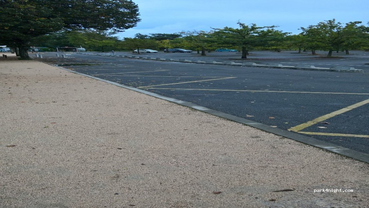 (31170) Tournefeuille - 21 Chemin de Larramet — foto 2