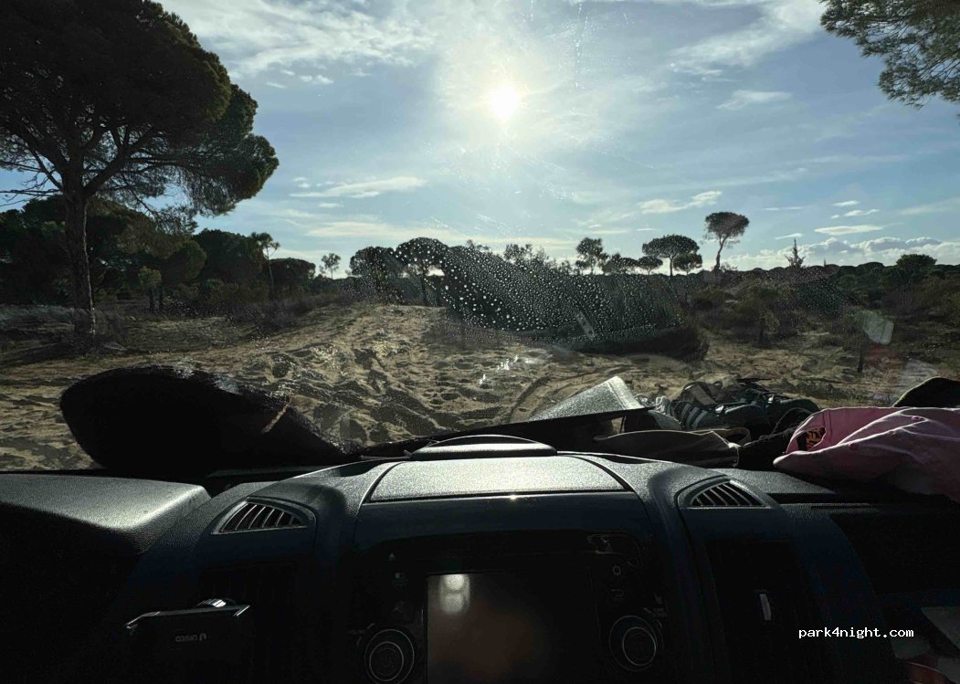 (11549) Sanlúcar de Barrameda - — foto 2