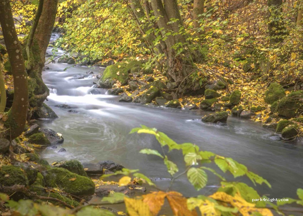 (56459) Gemünden - Zur Holzbachschlucht — foto 3