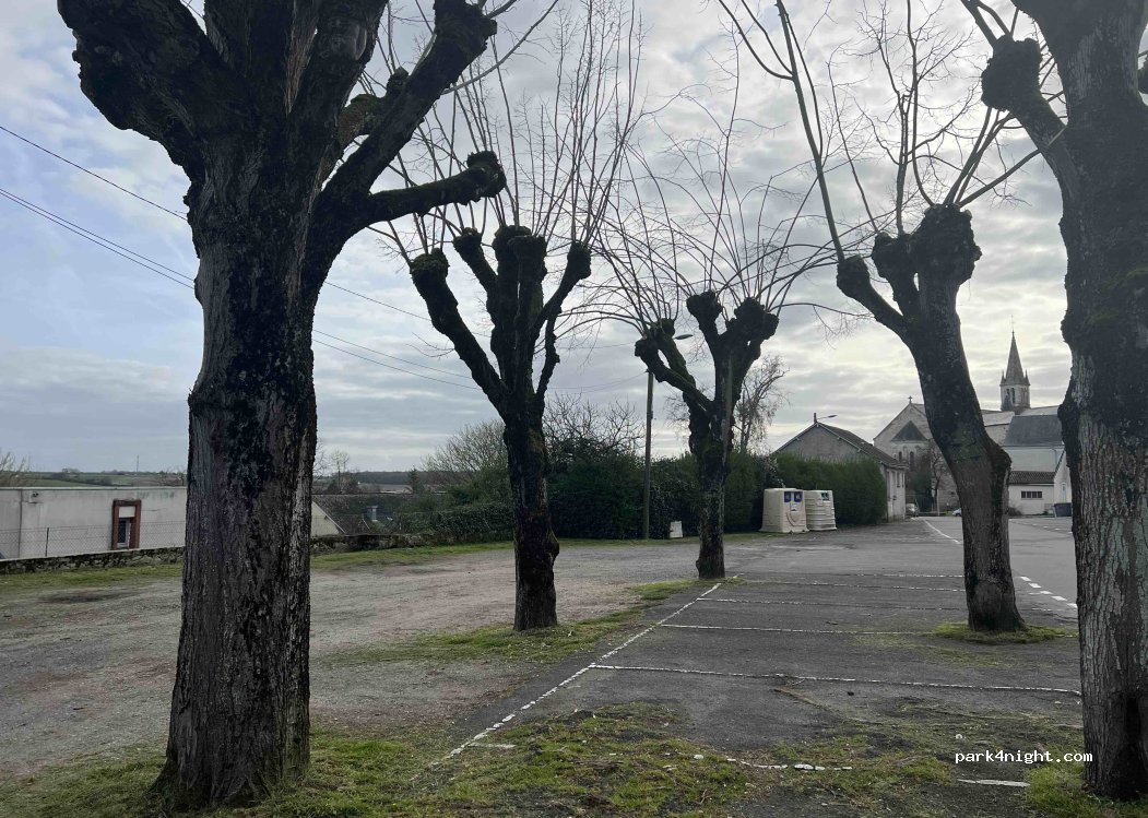 (37800) Sainte-Maure-de-Touraine - Rue du 11 Novembre — foto