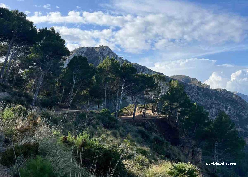 (07150) Estellencs - carretera vella d'Estellencs — foto