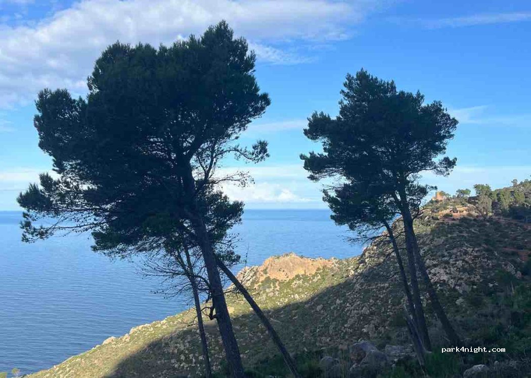 (07150) Estellencs - carretera vella d'Estellencs — foto 2
