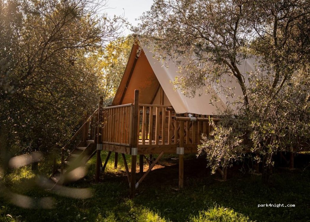 Agri-Glamping Il Bosco di Marino — foto