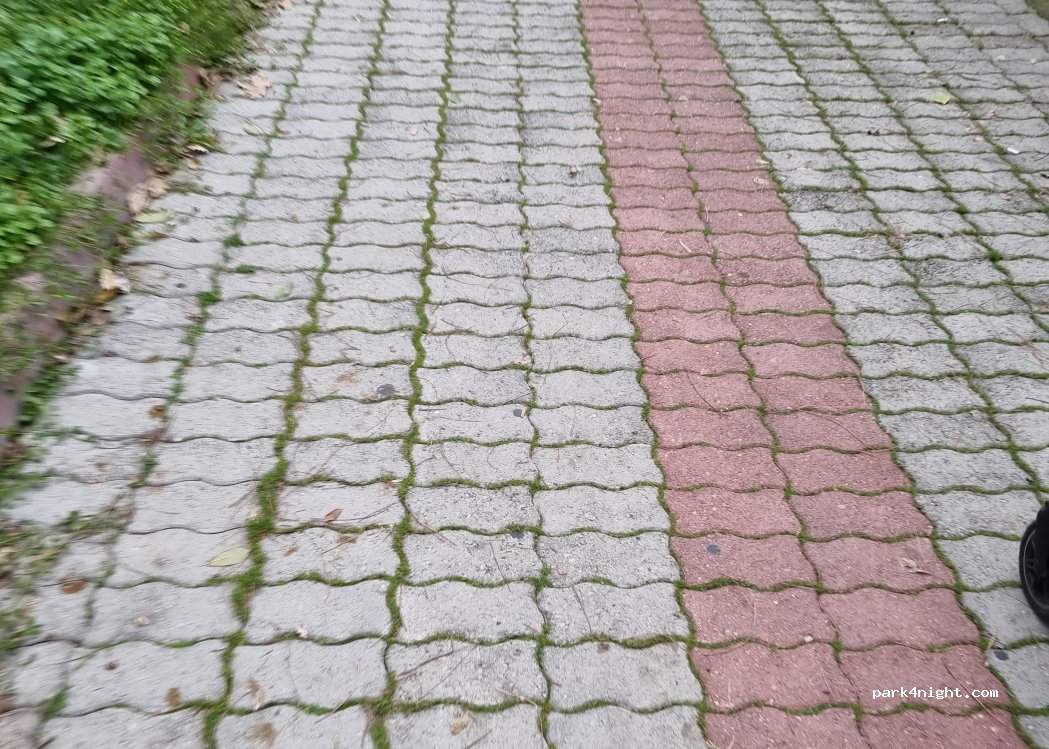 (07229) Kemer - 128 Sokak — foto