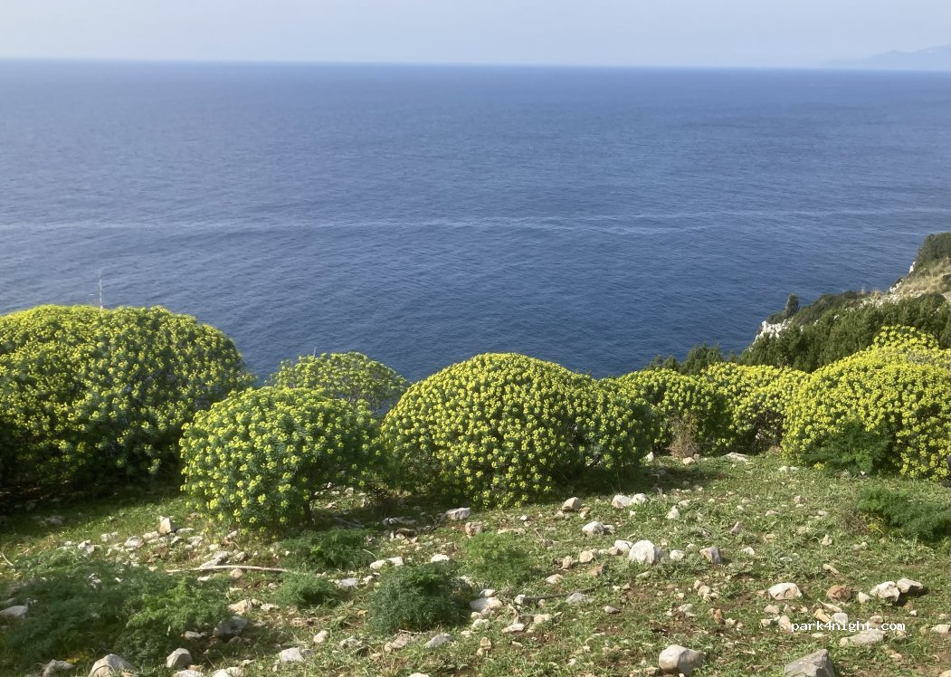 (84051) Centola - Fortini e Torri — foto 2