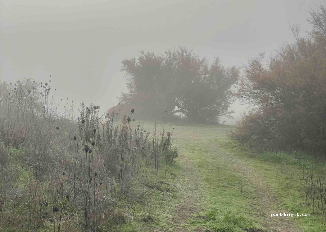 (07010) Tula - Strada Circumlacuale del Lago Coghinas — foto 2