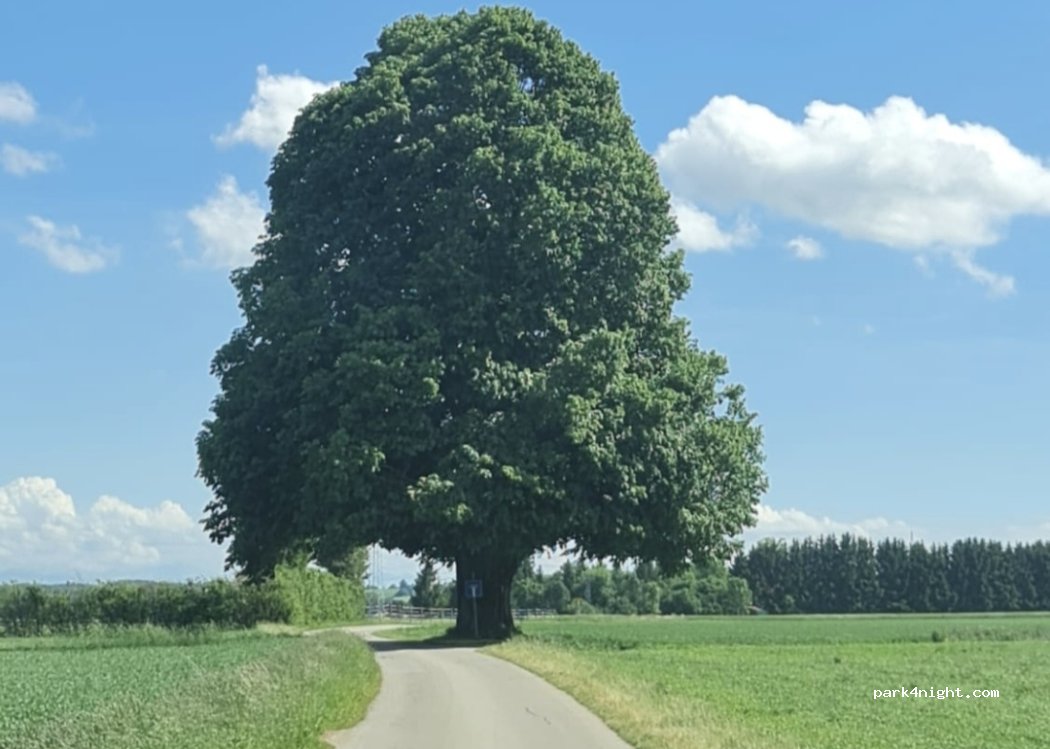 (88410) Bad Wurzach - — foto 5