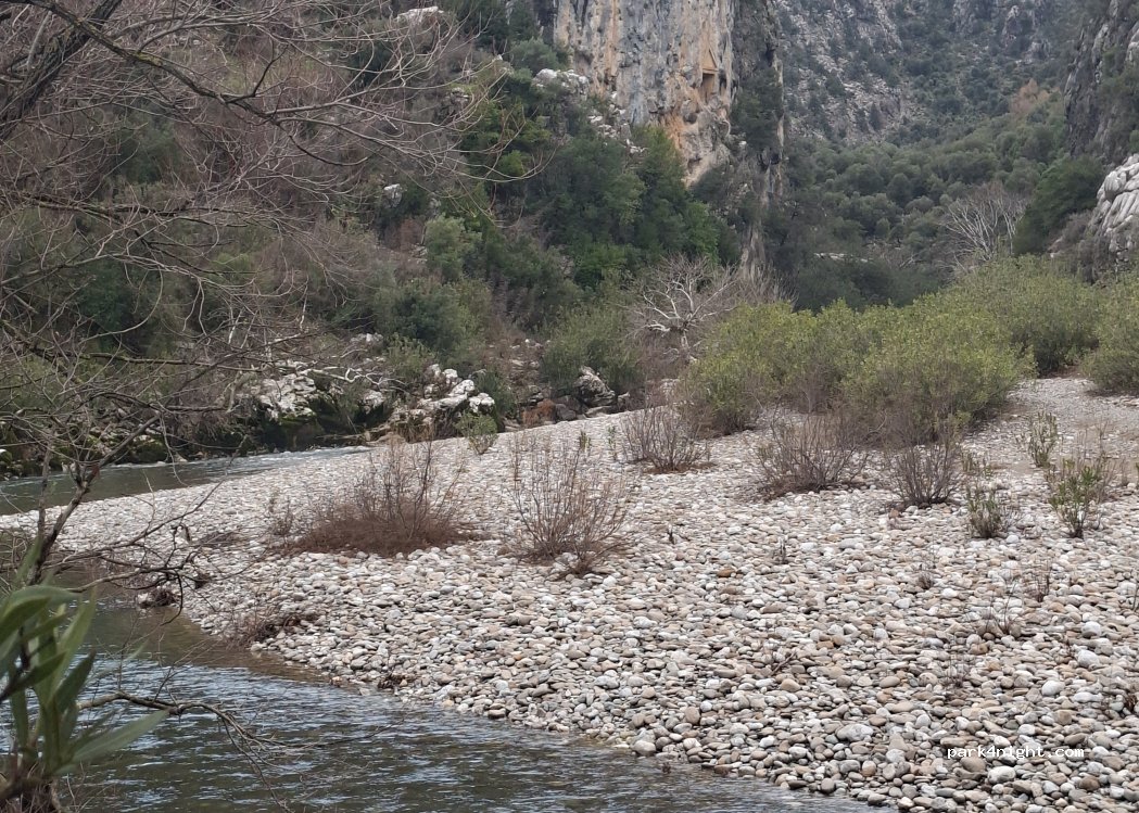 (07550) Değirmenözü - — foto 4
