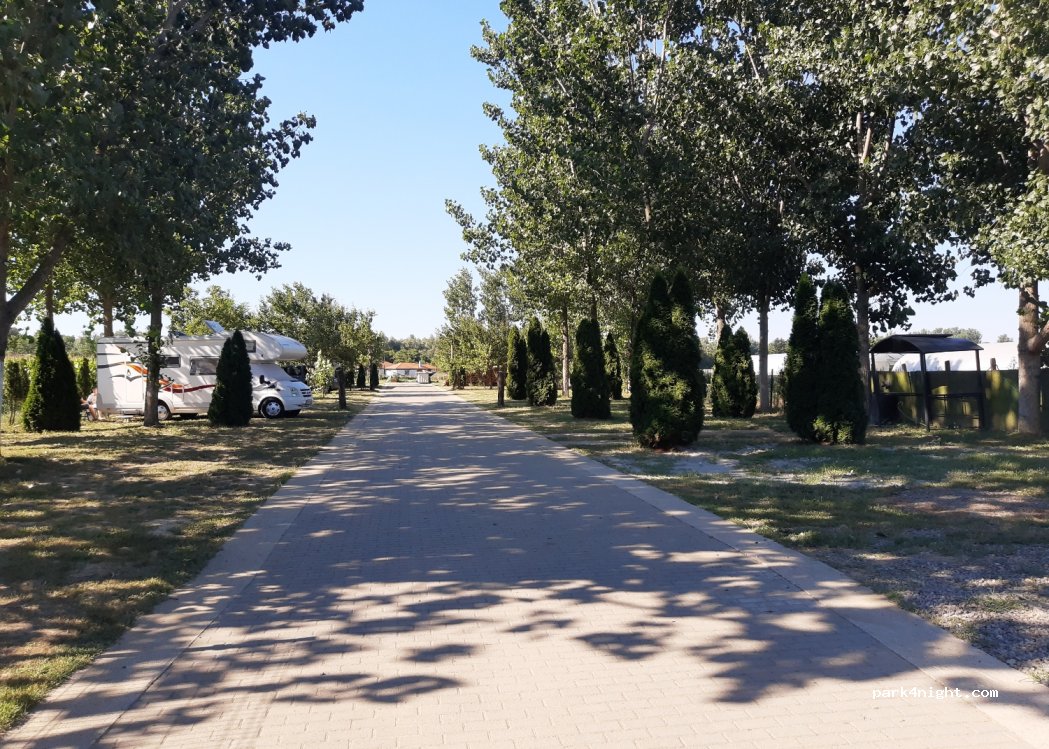 Camp Family Kopačevo — foto 2
