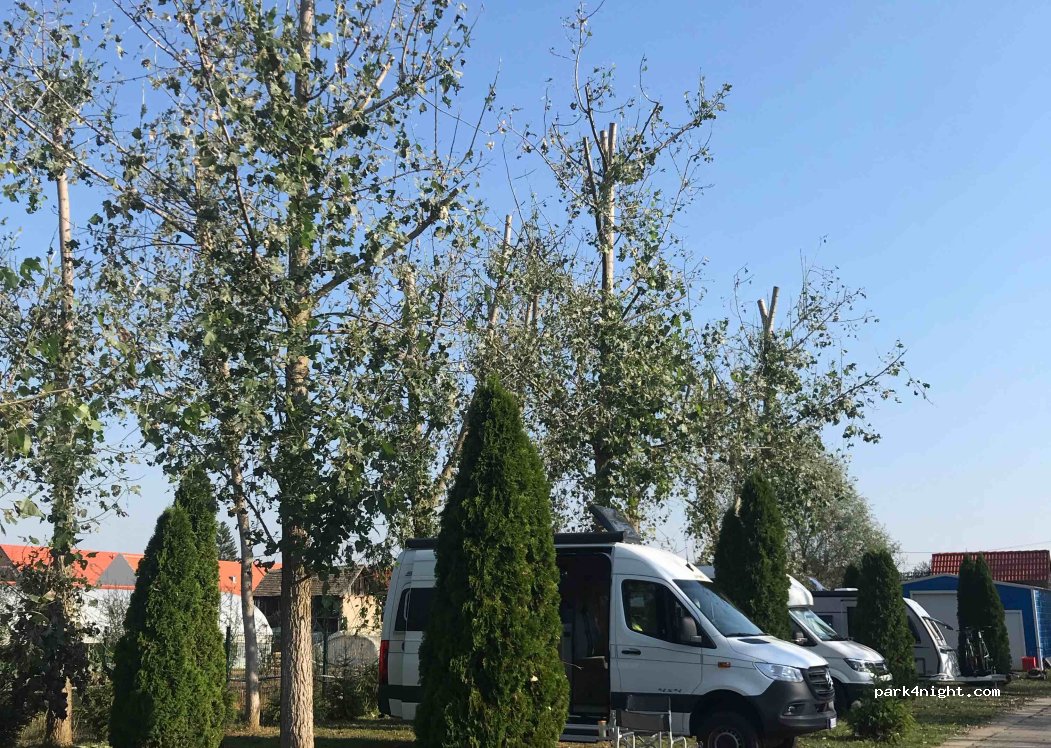 Camp Family Kopačevo — foto 4