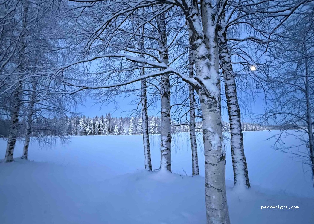 (88900) Kuhmo - Kekkostie — foto