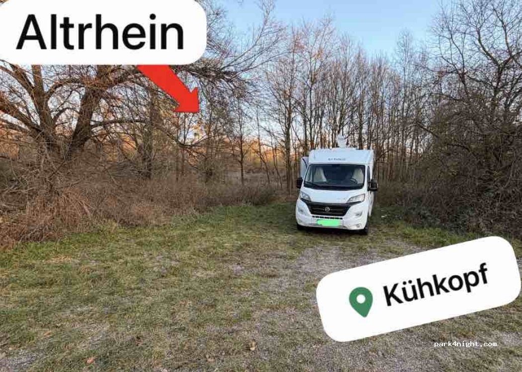 (64589) Stockstadt - Rheinstraße — foto 4
