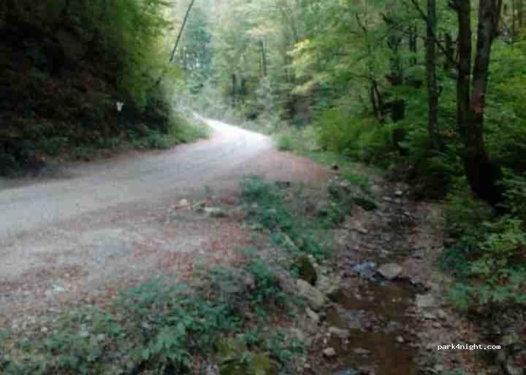 (417610) Uileacu de Beiuș - Uileacu de Beiuș-Șuncuiș — foto 2