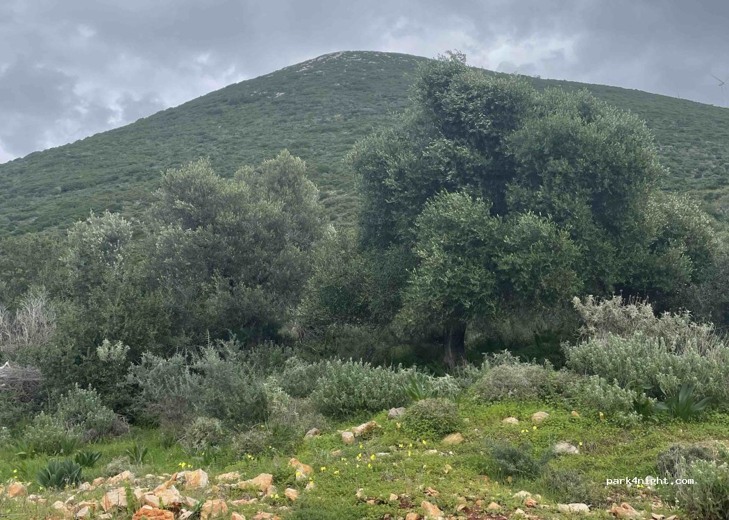 (24001) Pylos - — foto 2