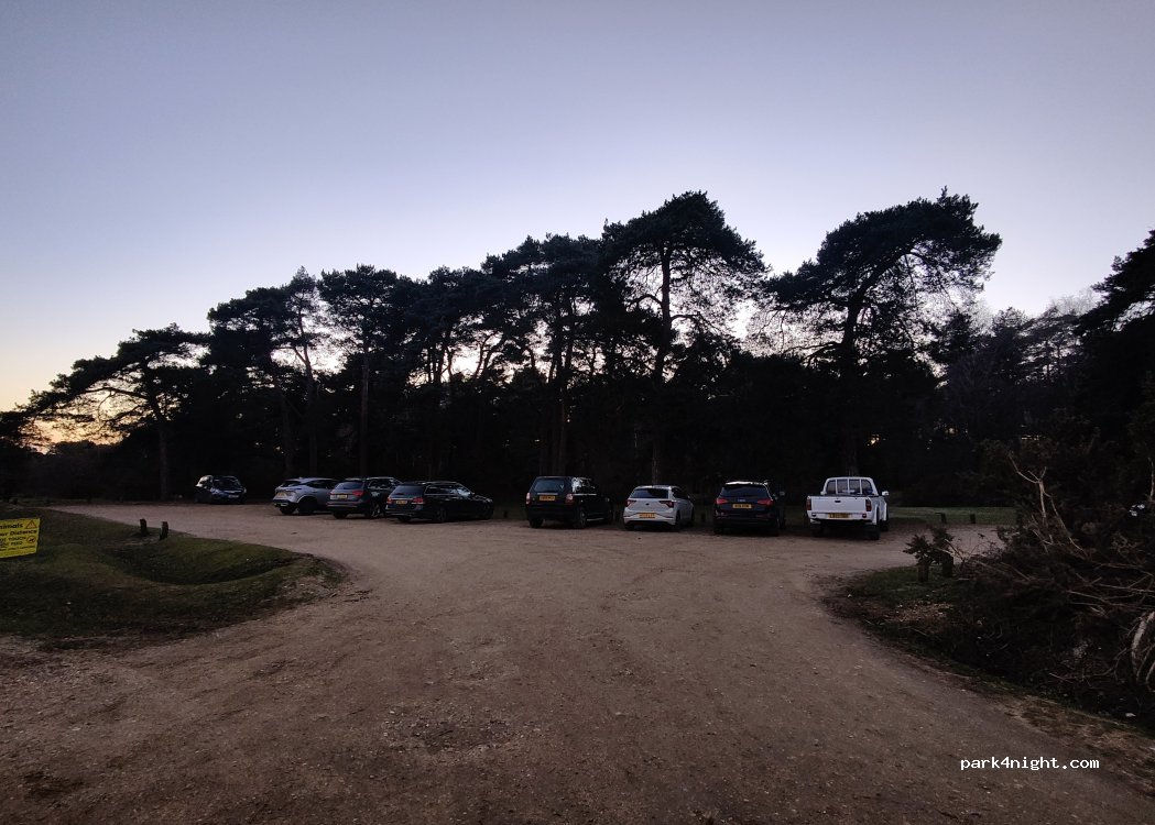 (SO40 4UH) New Forest - Unnamed road — foto