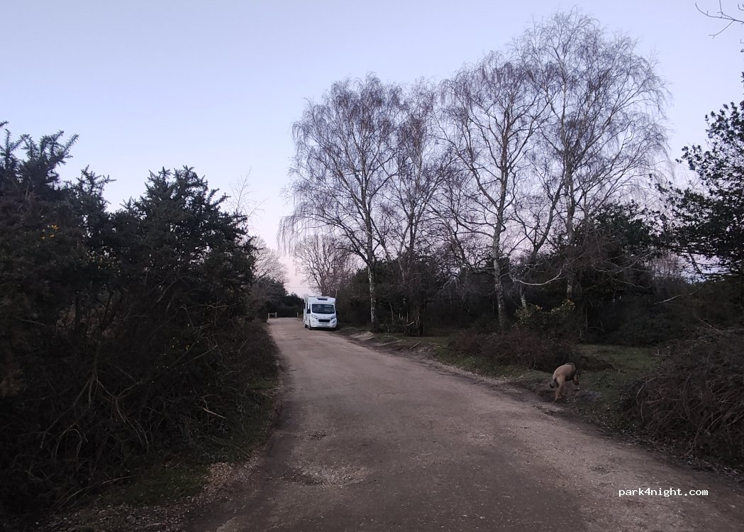 (SO40 4UH) New Forest - Unnamed road — foto 4