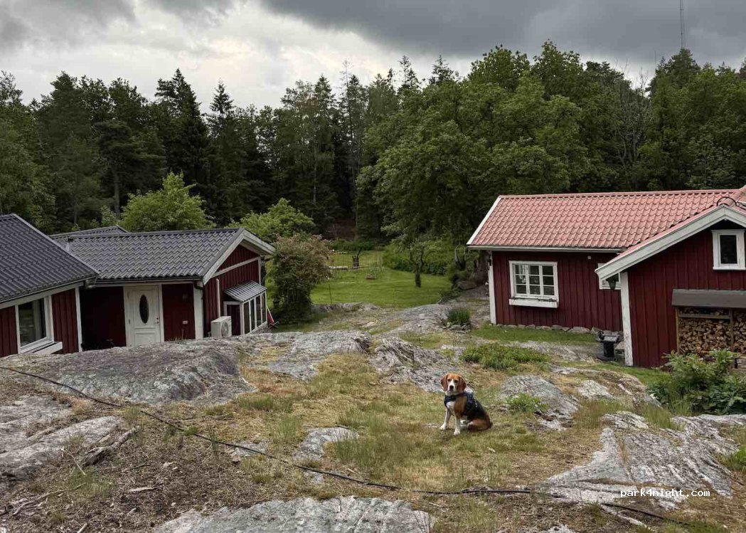 (46334) Lilla Edet - Borydvägen 57 — foto