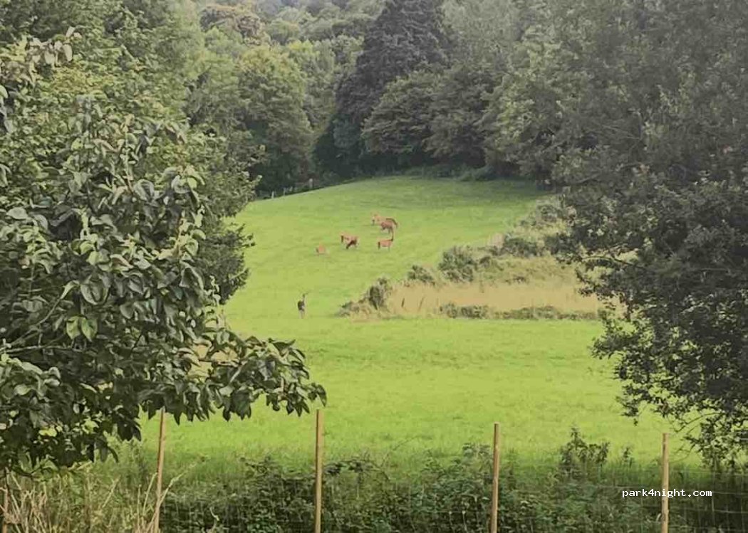 Le Caillou de Cazarilh — foto 5