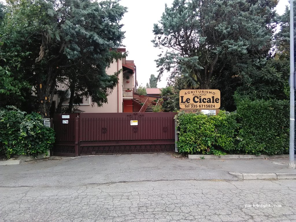 Le cicale — foto