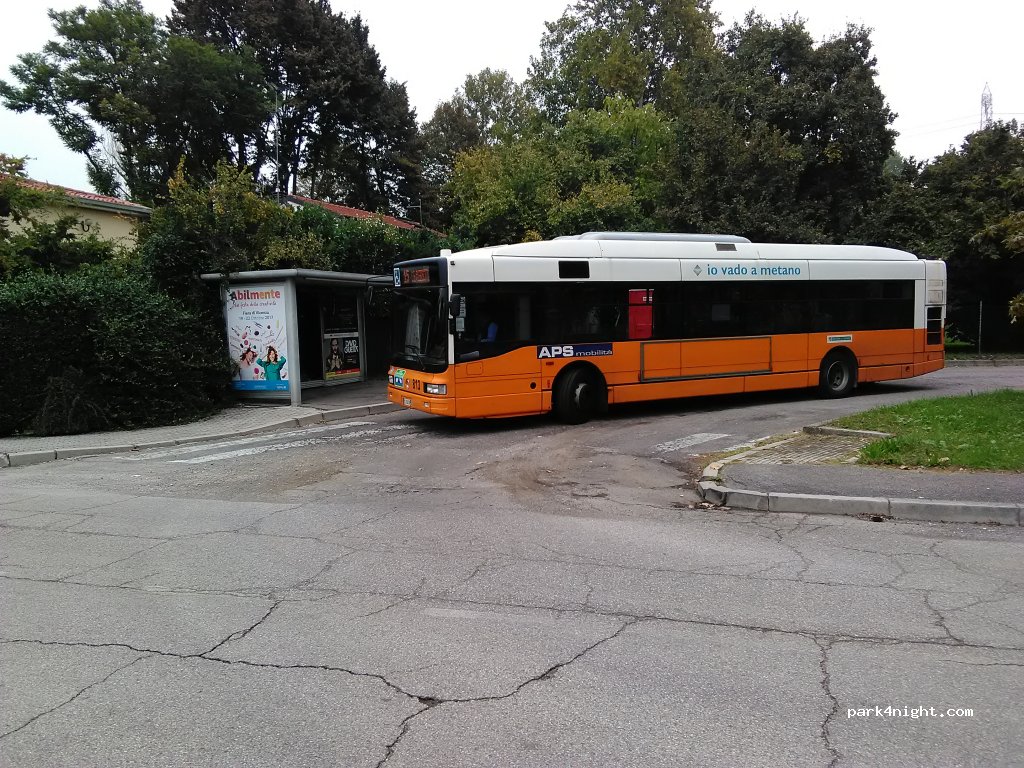 Le cicale — foto 2