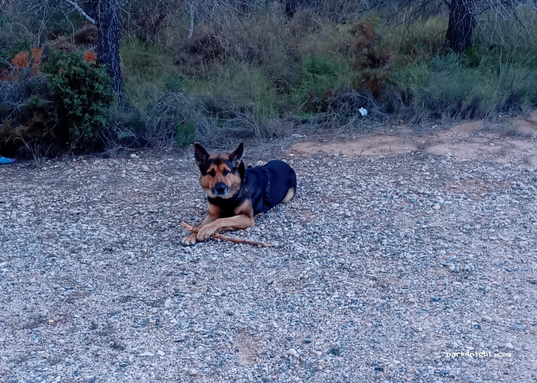 (03109) Tibi - Camino del Pantano de Tibi — foto 3