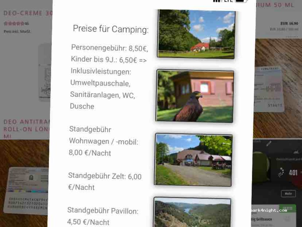 Sommerfrische Lothramühle — foto 4
