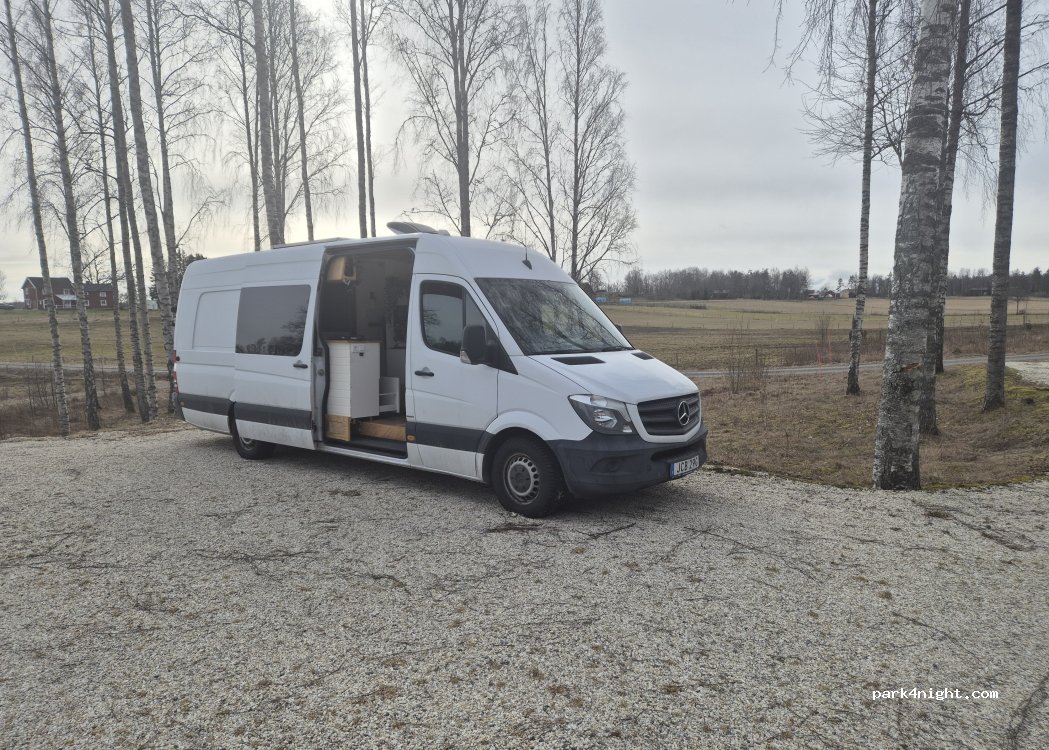(464 92) Åsmule - Linde 15 — foto 2