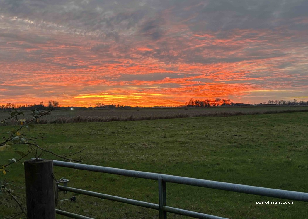(25870) Oldenswort - Hemmerdeich 4 — foto