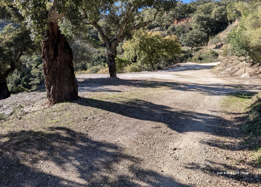 (29290) Benarrabá - Camino de Genalguacil — foto 2