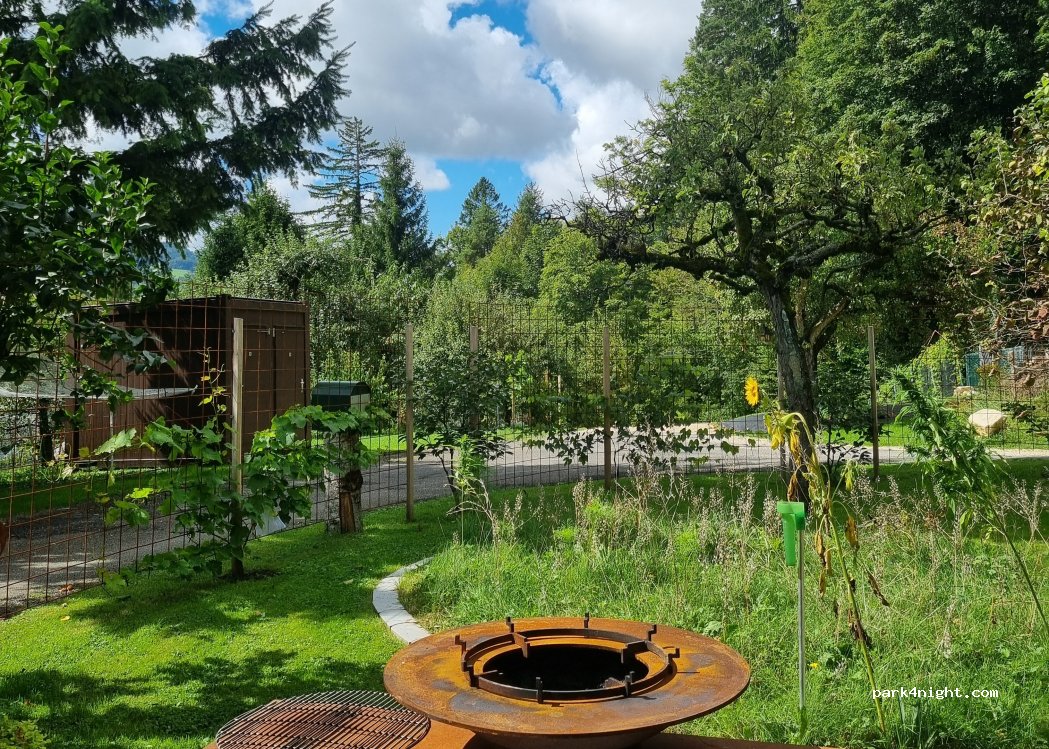 (4229) Beinwil (SO) - Birchmatt — foto 3
