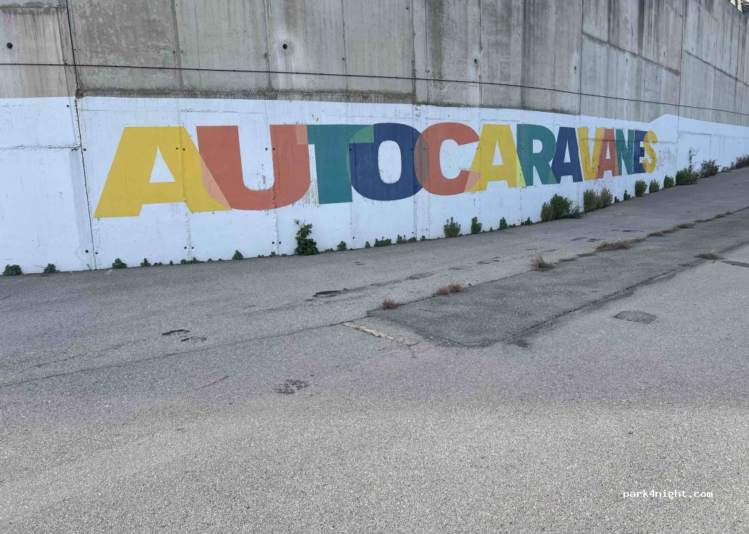 (12190) Borriol - Cam. Pecuario — foto 4