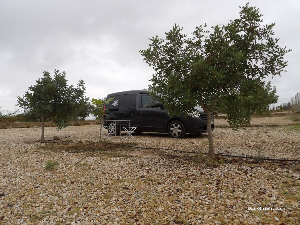 (46389) Turís - Carretera CV442 de Turís a Llombai — foto 2